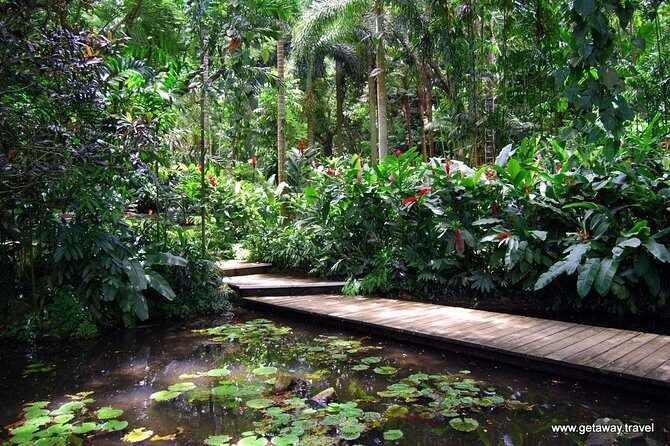 Half Day Nadi Sightseeing & Mud Pool Tour - Key Highlights Worth Planning For