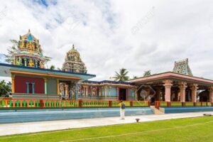 Half Day Nadi Tour incls Sri Siva Temple, Orchid Gardens,Local Village & Markets - Hotel pickup in Nadi and Denarau: the start that saves stress