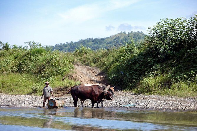 Half Day Sigatoka River Jetboat & Village Tour with Lunch & Transfers - Lunch, Kava, and the Schedule: How to Make the Meal Feel Worth It