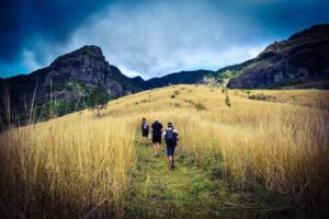 Koroyanitu National Heritage Park Fiji - Hike - Waterfall - How the Guide Chooses Your Koroyanitu Trail