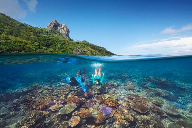 Kuata Island Marine Conservation Experience with Lunch - Snorkeling With a Marine Biologist: What You Actually Gain