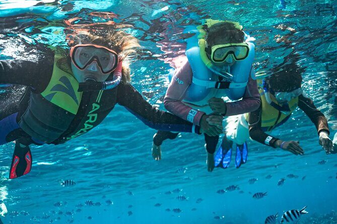 Kuata Island Marine Conservation Experience with Lunch - Five Hours Ashore: Beach Time, Snorkeling Windows, and Kayaking