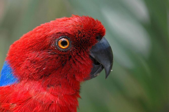 Kula Eco Park Admission - Quick Take: Kula Eco Park Admission at a Glance