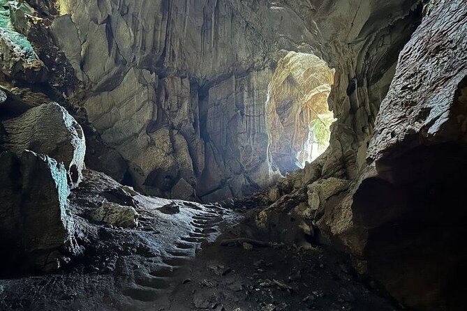 Largest Zipline in South Pacific & Cave Exploration Coral Coast - Three ecosystems you’ll actually notice (vesi trees, rain trees, and caves)