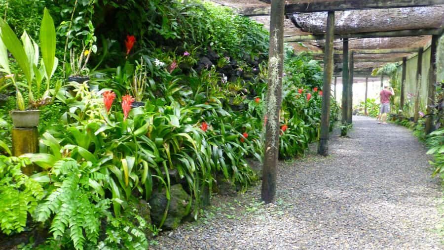 Nadi: Garden Village Hot Spring & Temple Highlights Tour - Sabeto Hot Springs and mud pool: the mineral soak payoff