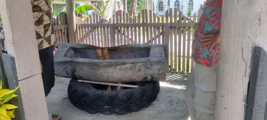 Nadi: Garden Village Hot Spring & Temple Highlights Tour - Should you book it?