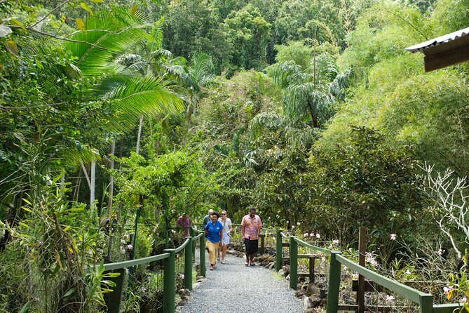 Nadi Heritage Tour - TifaJek Mud Pools: the natural spa moment that balances the day