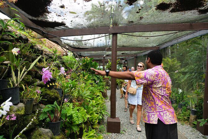 Nadi Heritage Tour - Getting around: Denarau Island timing and group size reality check