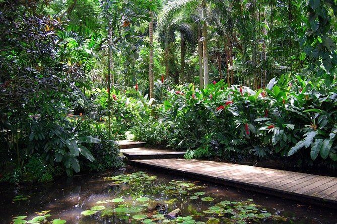 Nadi Sightseeing Including Viseisei Lookout, Village Tour, Garden & Temple Tour - From produce stalls to sacred murals in one Nadi morning