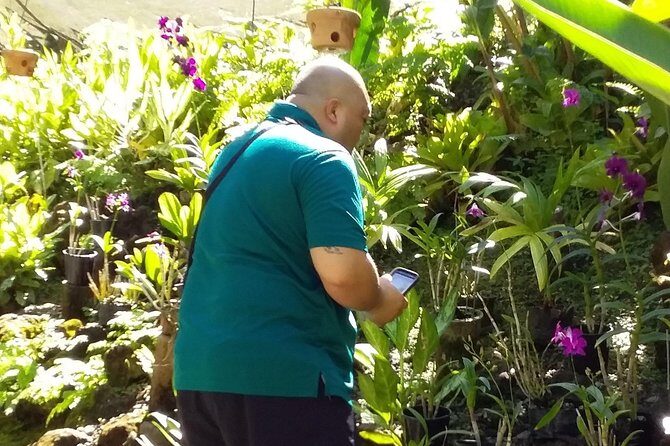 Nadi Sightseeing Including Viseisei Lookout, Village Tour, Garden & Temple Tour - Garden of the Sleeping Giant: flowers, walking, and quiet time