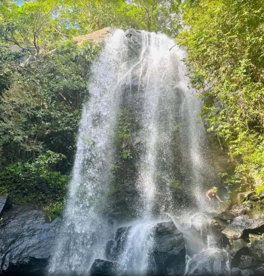 Nadi: Waterfall Tour Adventure with Refreshments and Lunch - Coconut water, lunch, and the small-food details you’ll remember