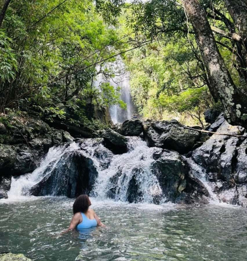 Nadi: Waterfall Tour Adventure with Refreshments and Lunch - Feeding farm animals: the “pause” that makes the day feel real