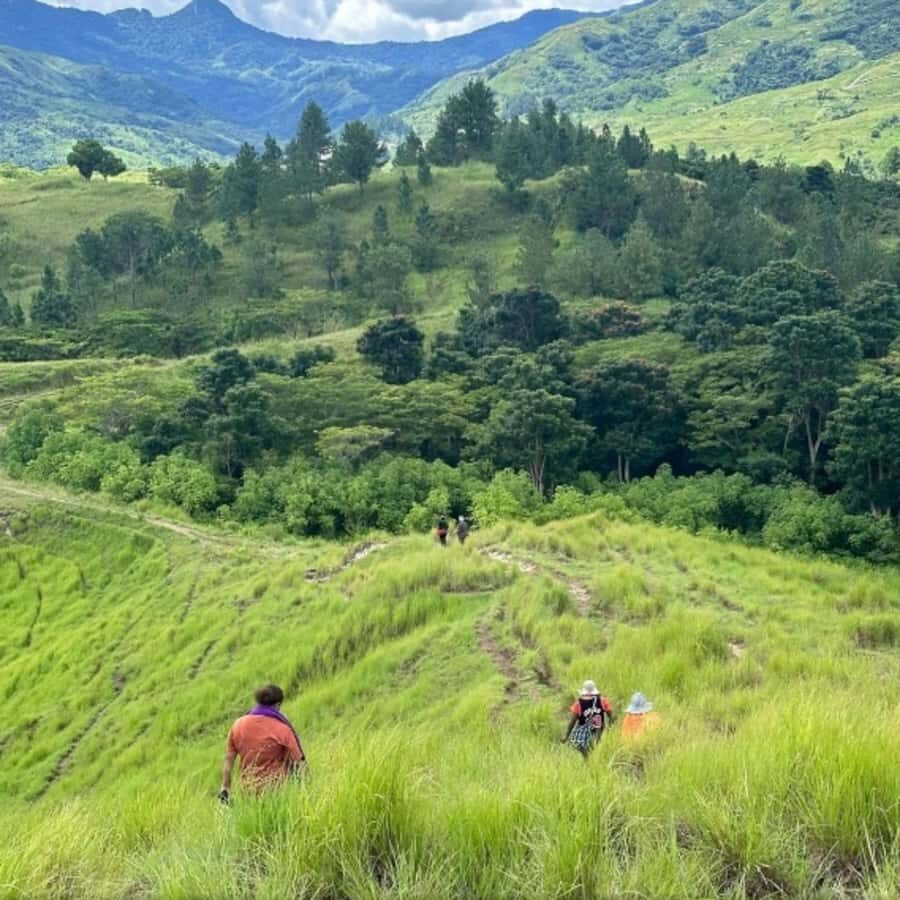 Nadi: Waterfall Tour Adventure with Refreshments and Lunch - Walk back or horseback ride: choosing your comfort level