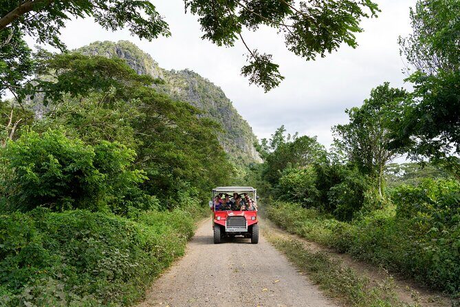 Naihehe Cave Safari in Sigatoka with BBQ Lunch - Should You Book This Naihehe Cave Safari?