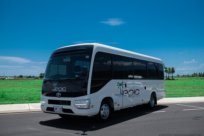 Private Arrival Transfer - Nadi Airport to Hotel - The ride from Nadi Airport to Nadi hotels: short, comfortable, and direct