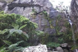 Private Breathtaking Koroyanitu Half Day Waterfall Hike - The private format: why going with Peni changes the hike