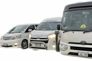 Private Car Transfer to Nadi International Airport - Timing rules: the default pickup and the 15-minute wait
