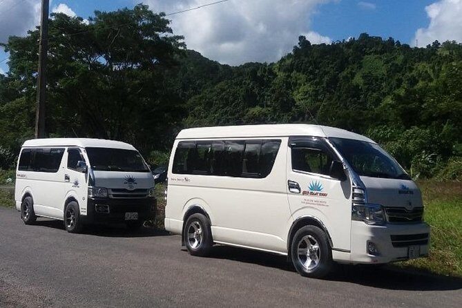 Private Roundtrip Transfer - Nadi Airport to Fiji Marriott Momi Bay - Should you book this private transfer?