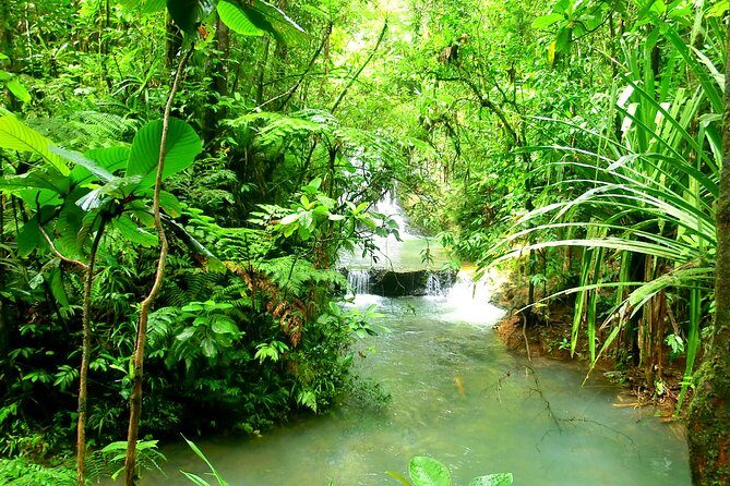 Private Suva Nature and Waterfall Tour - Price and value: $92.66 per person makes sense if you want “easy access”