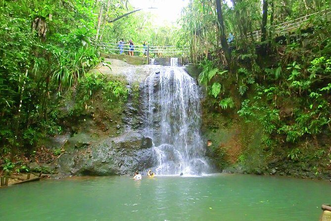 Private Suva Nature and Waterfall Tour - Who this tour is best for