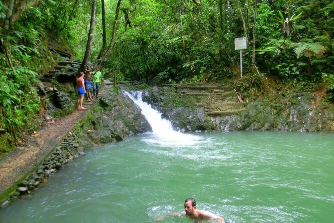 Private Suva Nature and Waterfall Tour - The rainforest trek: birds, plants, and wet footing