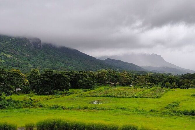 Private Tour: Best of Nadi Highlights - Getting Oriented in Nadi: Pickup, Private Car, and Time Control
