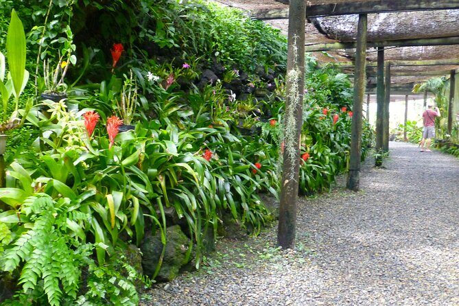 Private Tour: Best of Nadi Highlights - Nadi Produce Markets and Souvenir Shopping: Seeing Everyday Life