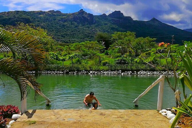 Private Tour: Best of Nadi Highlights - Who This Private Day Works Best For