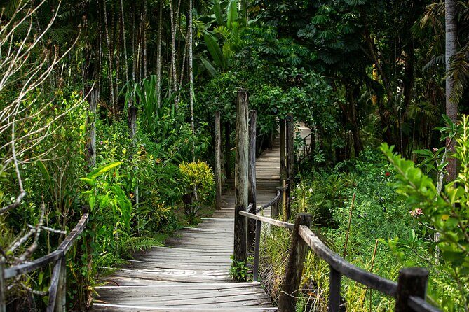 Private Tour: Hot spings & Sleeping Giant Garden hiking Adventure - Getting from Nadi: pickup, timing, and clothing decisions