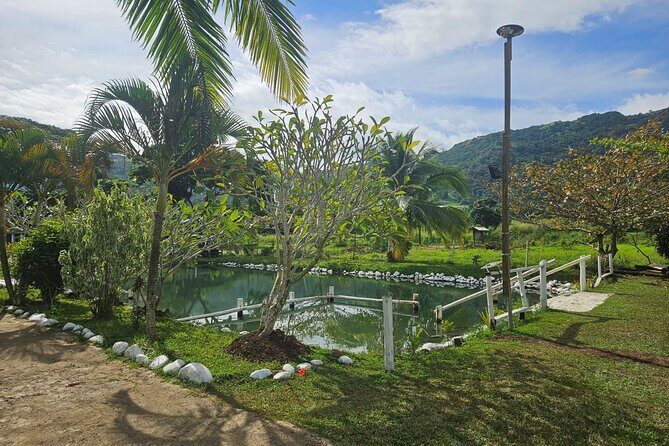 Private Tour: Hot spings & Sleeping Giant Garden hiking Adventure - Stop 1: Sabeto Hot Springs and Mud Pool ritual—relaxation with a little mess
