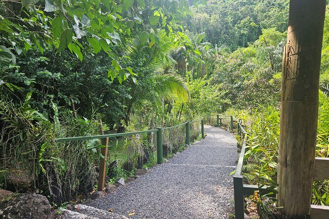 Private Tour: Hot spings & Sleeping Giant Garden hiking Adventure - Stop 1, bonus reality check: when service speed affects your whole day