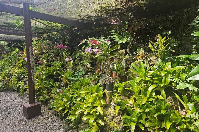 Private Tour: Hot spings & Sleeping Giant Garden hiking Adventure - Personalized private tour value: who this suits best