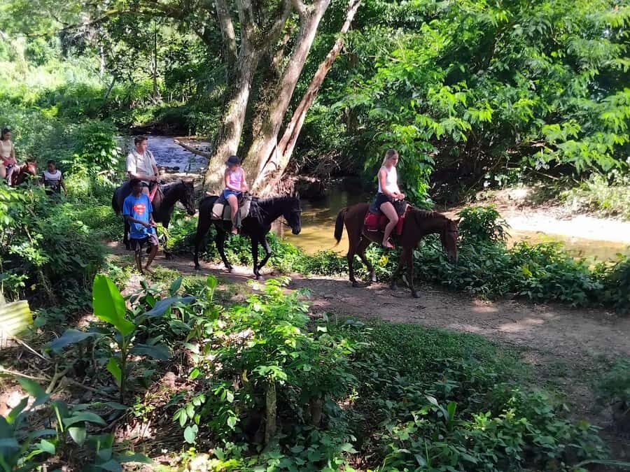 Private Tour: Pacific's Largest Dunes & Famous Waterfall - Baravi Handicrafts & Cafe: lunch plus real shopping time