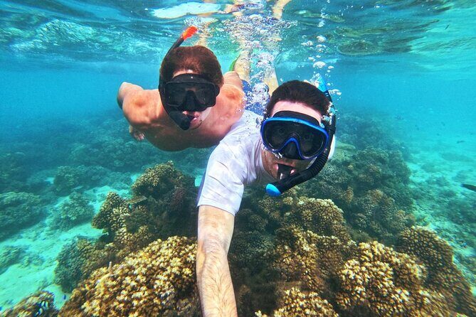Ride & Slide by South Sea Cats - Half Day Snorkelling Trip - Who should book Ride & Slide (and who should skip it)