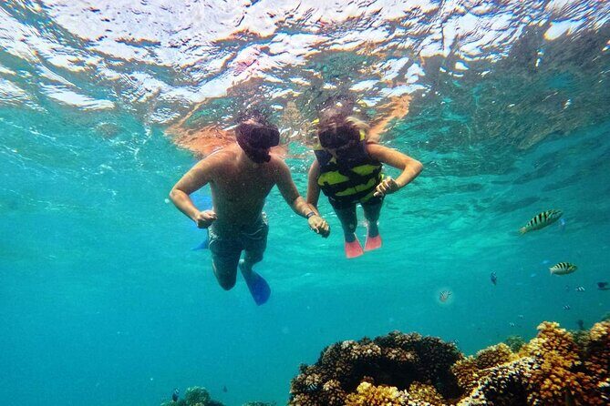 Ride & Slide by South Sea Cats - Half Day Snorkelling Trip - Should you book Ride & Slide by South Sea Cats?