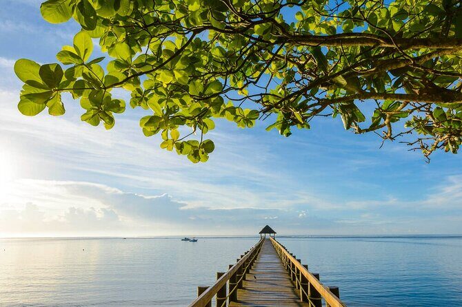 Round The Island Day Trip Fiji- Viti Levu - Maui Bay Shopping Centre and the Sea Jetty: Marine Life Without the Fuss