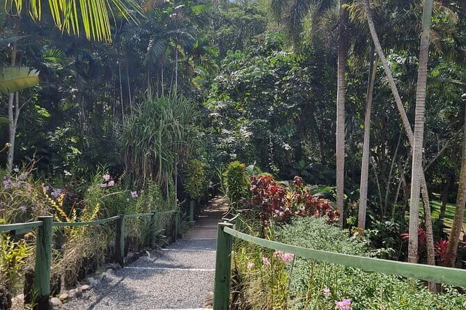 Round The Island Day Trip Fiji- Viti Levu - Suva With About an Hour on Your Own: Markets and Lunch Planning