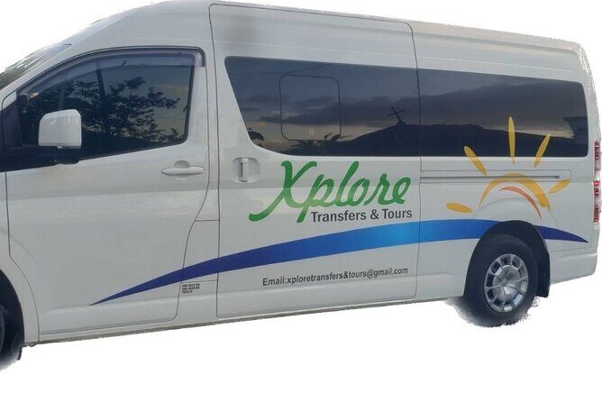 Round-trip Nadi Int Airport - Denarau Hotels (Private Transfer) - Meet-and-Greet at Arrivals: The Part That Saves Real Time