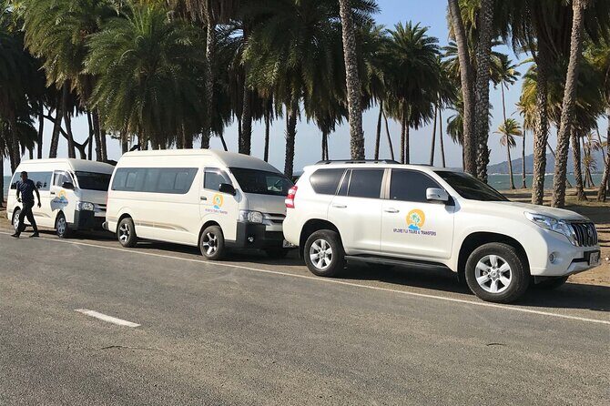 Round Trip Private Transfer From Nadi Airport To Your Resort - Price and Value: Is $23.52 per Person a Good Deal?