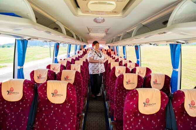 Shared Shuttle Arrival Transfer - Nadi Airport/ Port to Hotel - Time Flexibility for Flight Delays (The Part You’ll Appreciate Later)