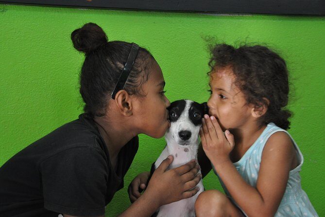 Shelter Visit & Tour - Key things to know before you go