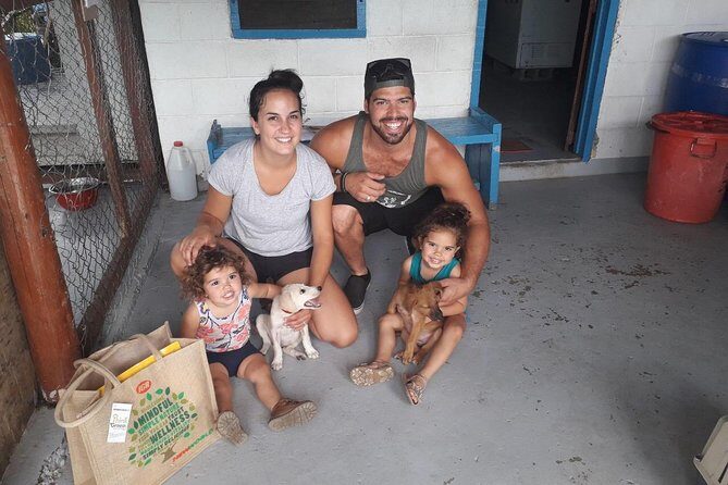 Shelter Visit & Tour - Animals Fiji Nadi Clinic: what your morning is really about