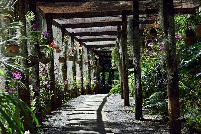Shore Excursion-Nadi Mudpools,Sleeping Giants Gardens,Markets, Temple & Shopping - Lautoka Market: the best place to start with local life