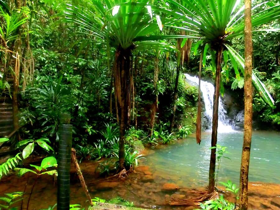 Suva: Fijian Nature and Waterfall Tour - Quick hits you’ll care about