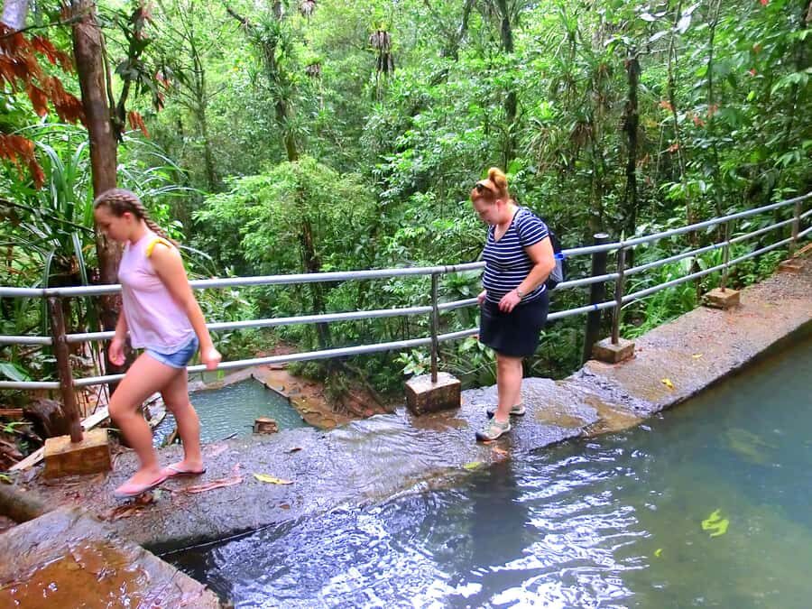 Suva: Fijian Nature and Waterfall Tour - Photo stops, optional barbecue, and the rhythm of the day