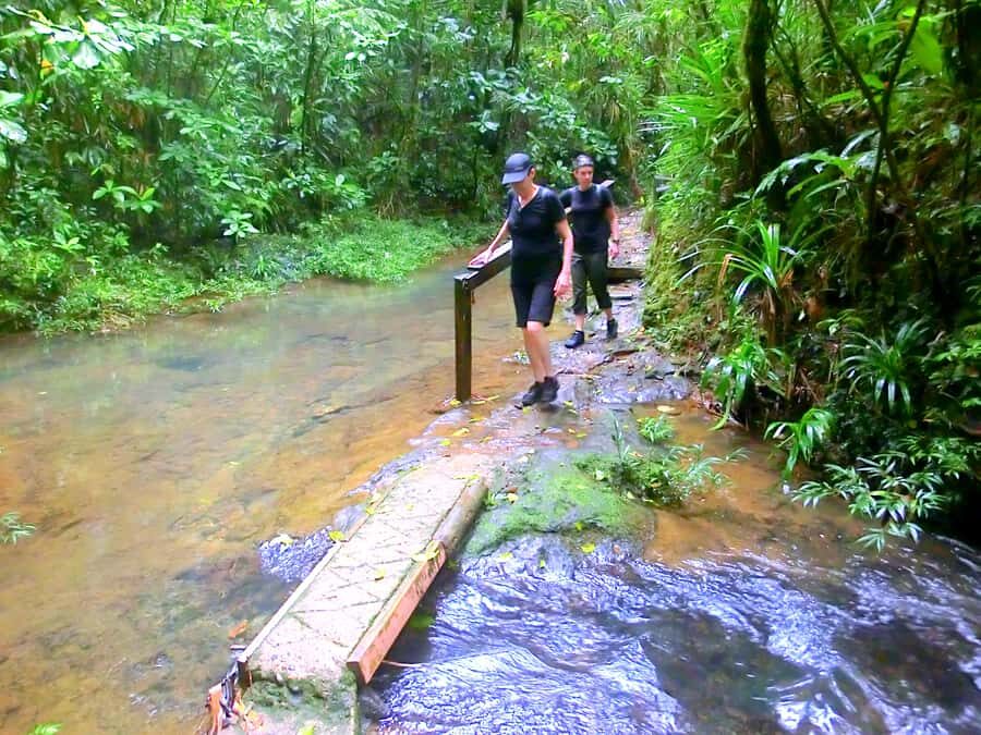Suva: Fijian Nature and Waterfall Tour - Guides make it personal: Peter, Nicholas, Joel, John, and friends