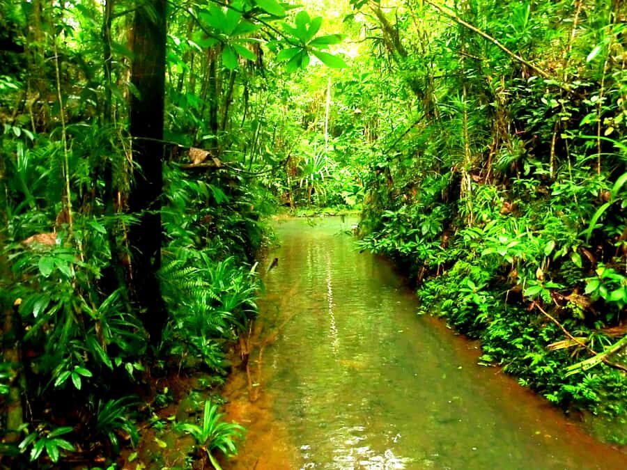 Suva: Fijian Nature and Waterfall Tour - Who should book (and who should skip)