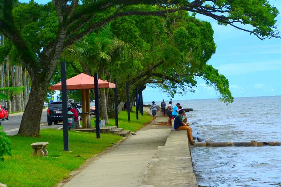 Suva: Half Day City Sightseeing Tour - Guide quality and pickup timing: what to watch before you commit