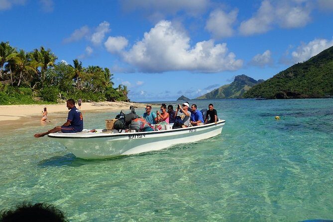 Ultimate Encounter Snorkel with Sharks in Fiji - Reef sharks 101: what species you’re likely to see
