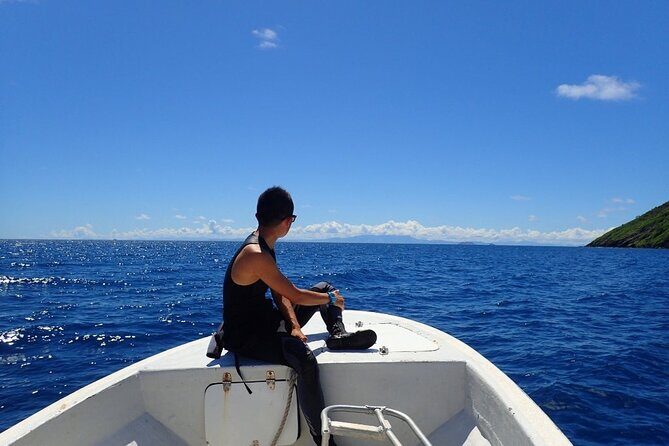 Ultimate Encounter Snorkel with Sharks in Fiji - Photo and video packages: do you really need them?